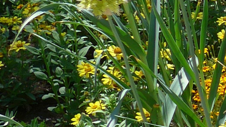 P1010917 - Kopie.jpg